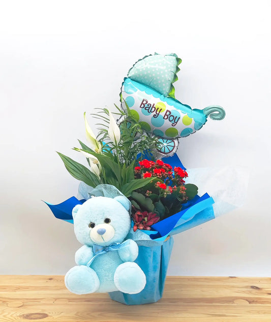 conjunto de plantas decoradas y acompañadas de un globo de baby boy y un peluche azul